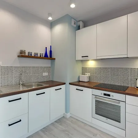 Apartinfo Chmielna Park 格但斯克